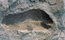 Laetoli footprint