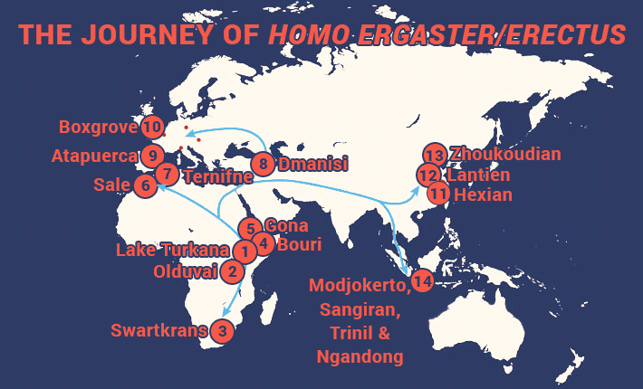 A map of the journey of Homo erectus