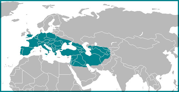 Map of the range of neanderthals