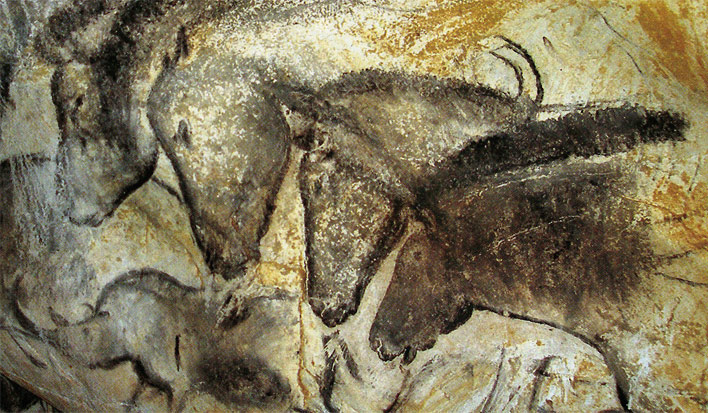 Horses from Chauvet cave