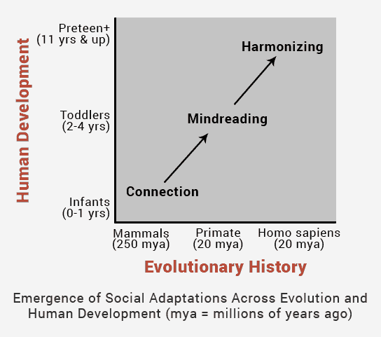 Human Development-Evolutionary History graph