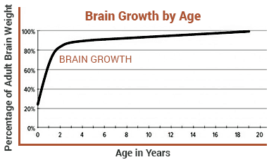 Brain growth chart