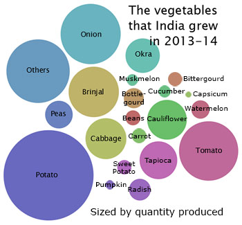 Graphic showing how many of various vegetables are grown in India.
