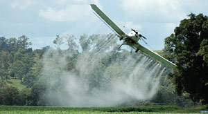 A plane spraying fields