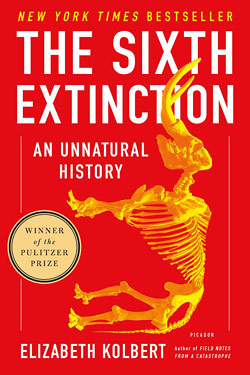 These Extinct Elephants Were Neanderthals' 'Biggest Calorie Bombs' - The  New York Times