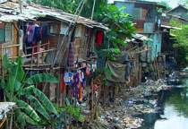 Jakarta slum