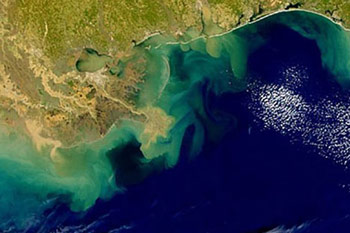 Land and sea from space