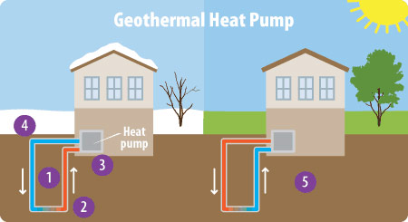 graphic showing how heat pumps work