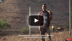 BBC video about the drought in Ethiopia in 2015
