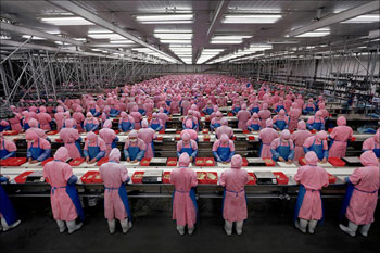 assembly line workers dressed in pink in an enormous building