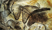 Horses cave art