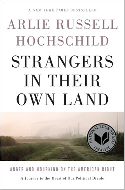 Book cover for Strangers in Their Own Land