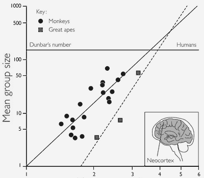 A graph linking group size to neocortex ratio