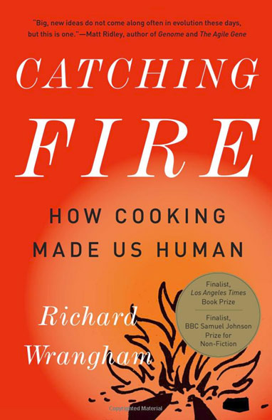 Catching Fire How Cooking Made Us Human The Human Journey