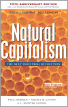 Book cover for Natural Capitalism
