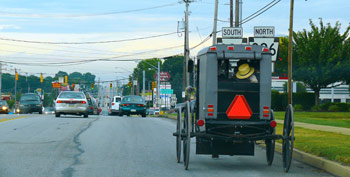 Amish buggy amongst cars on street