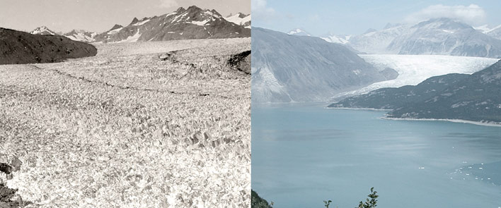 Muir Glacier comparison: 1942 and 2004