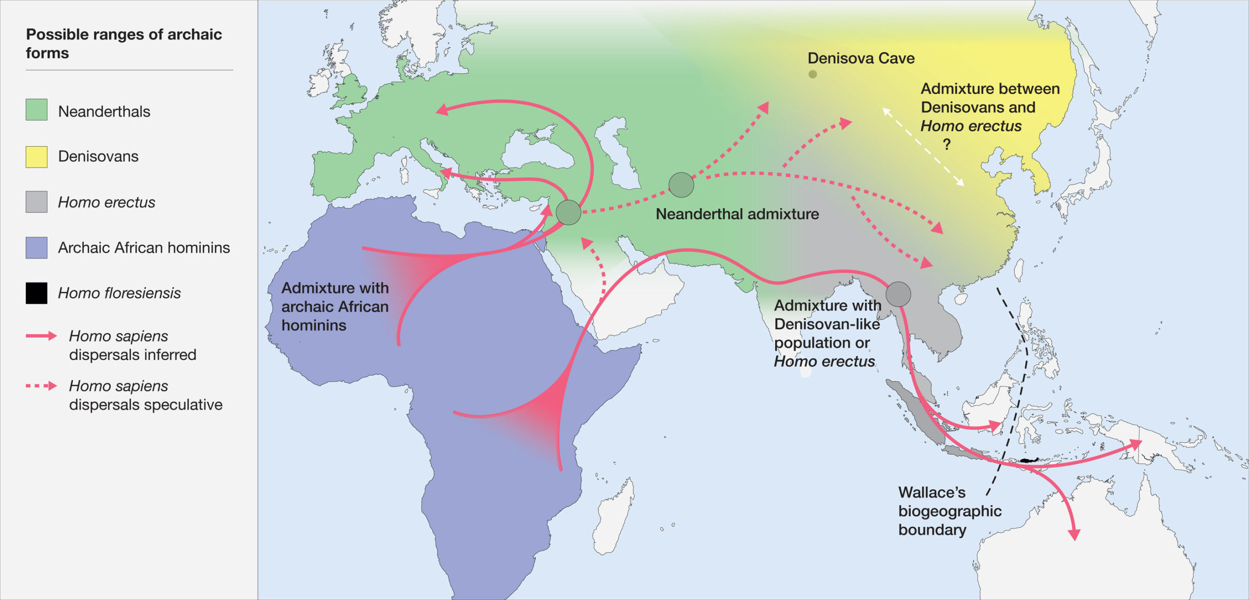 Map of hominin distribution