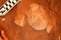 Indigenous Rock Shelter in Top End Pushes Australia’s Human History Back to 65,000 Years Ago