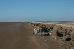 The Lost River: Mexicans fight for mighty waterway taken by the US