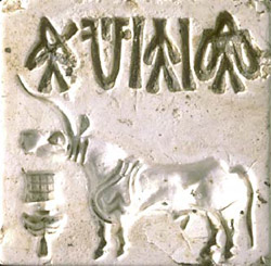 Harappa.com