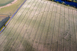 Drought and Drone Reveal ‘Once-in-a-Lifetime’ Signs of Ancient Henge in Ireland