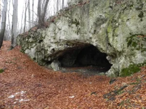 Paleolithic culture cannibalized their enemies—and maybe their friends as well