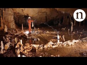 The Neanderthal Sculpture Garden