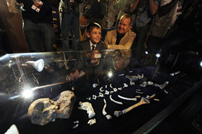 New Fossils May Redraw Human Ancestry