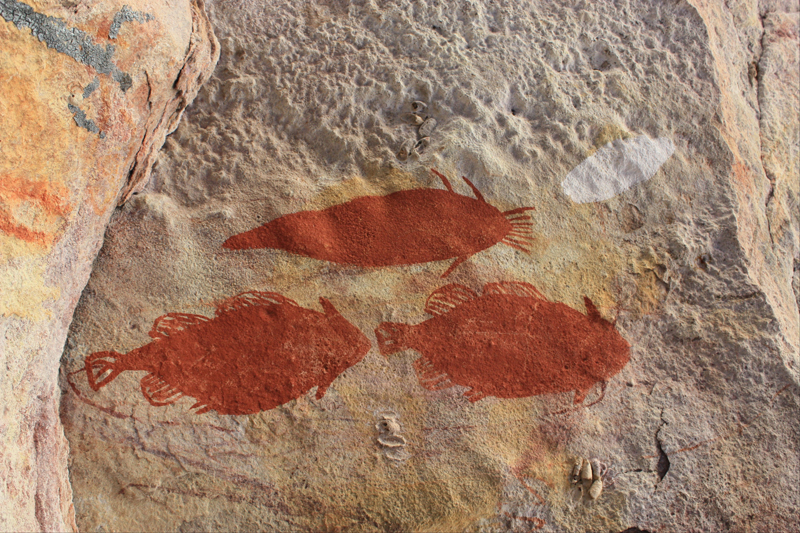 red ochre fish rock painting