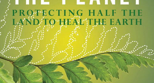 Cover of book Rescuing the Planet by Tony Hiss