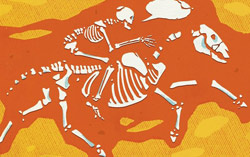New Evidence Fuels Debate over the Origin of Modern Languages