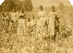 In Order to Understand the Brutality of American Capitalism, You Have to Start on the Plantation