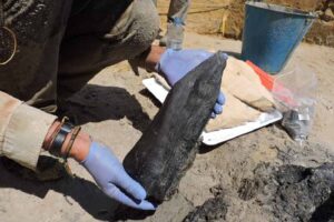 Proof of Stone Age humans building wooden structures uncovered by archaeologists