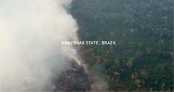The Amazon, Siberia, Indonesia: A World of Fire