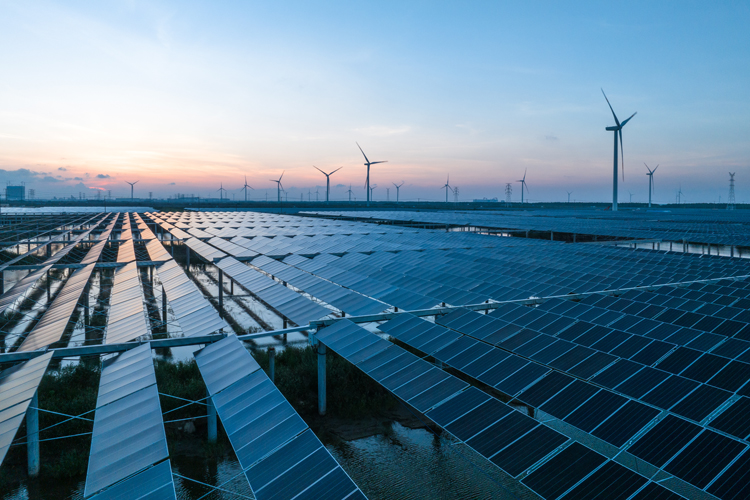 A photo of a combined solar and wind energy farm located in coastal China.