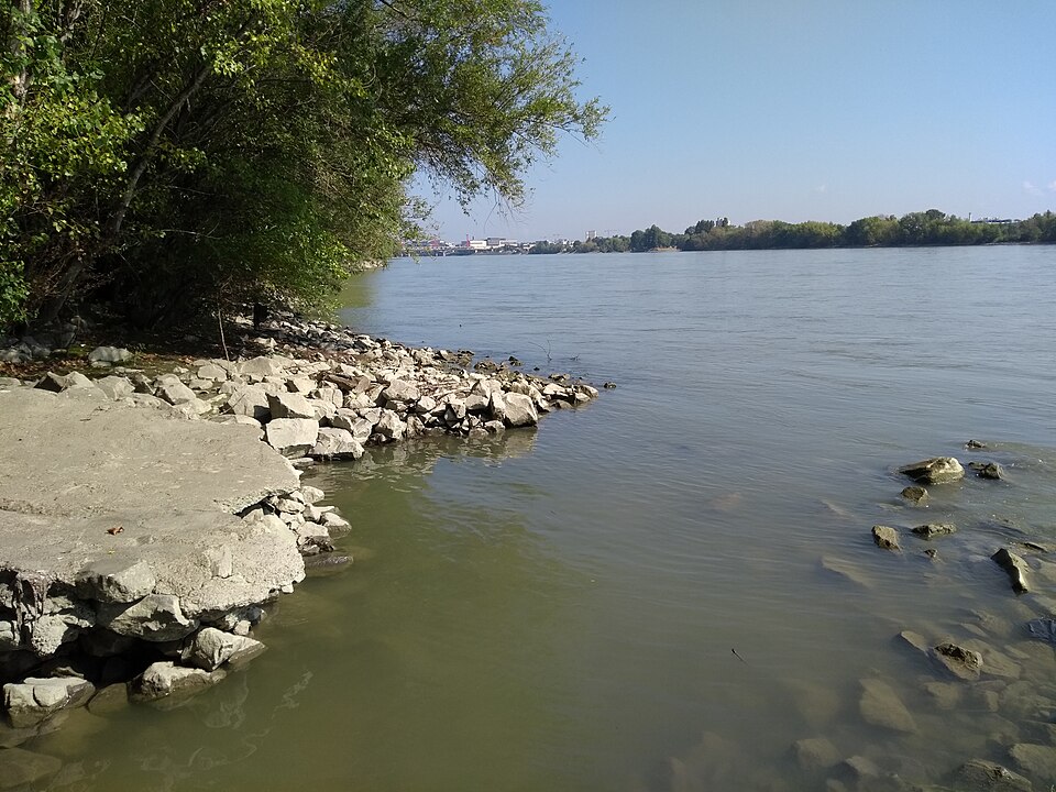 brown-danube