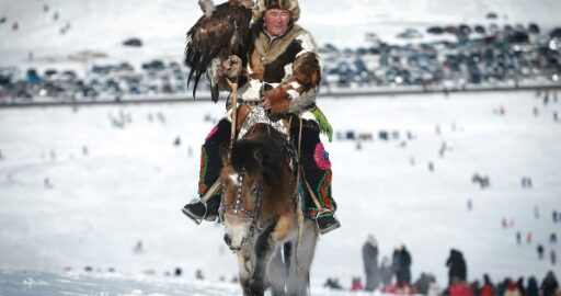 Horse riding in Eurasia image