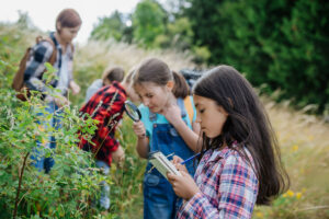 Children studying plants outdoors in a forest nature school setting.