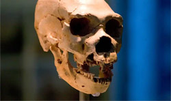 Scientists Find Evidence of ‘Ghost Population’ of Ancient Humans