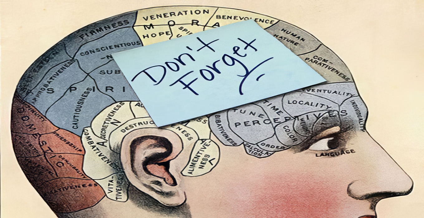 An illustration of various regions of the human brain and a sticky note stuck on top that says "don't forget".