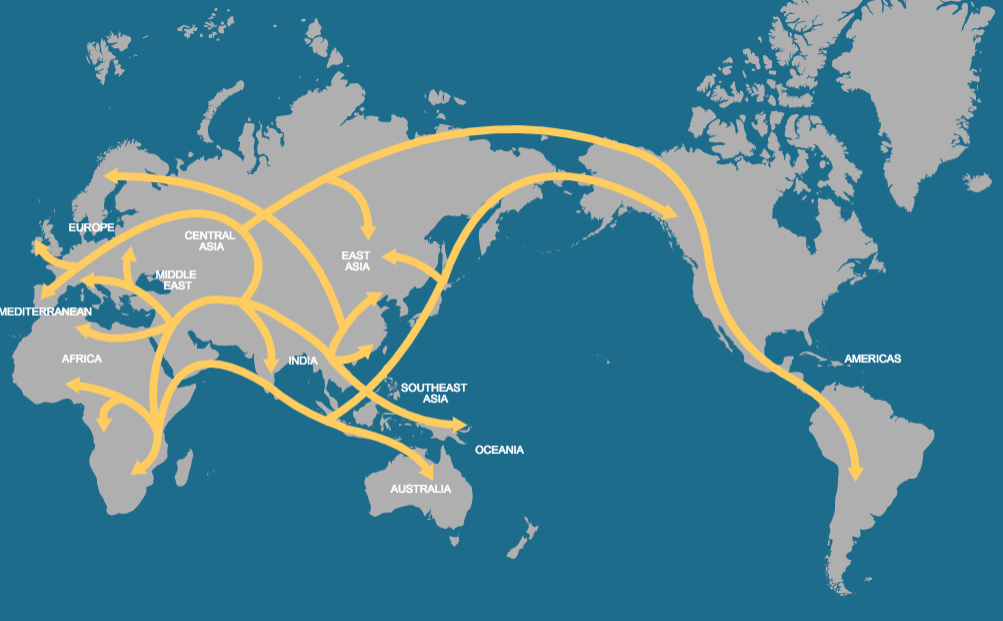 Human migration patterns. [National Geographic]