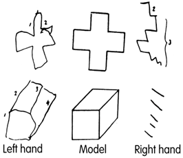 left hand v right hand