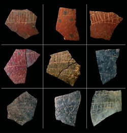 Stone Age Engravings Found on Ostrich Shells