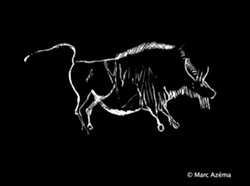 Prehistoric Animations Emerge from Cave Walls