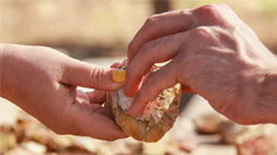 Prehistoric ‘Picnic Spot” from Half a Million Years Ago Found in Israel