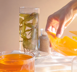 Compostable Plastic from Seaweed