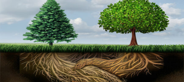 An illustration of two trees in a field whose roots are intertwined underground in the shape of a handshake.